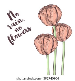 Hand-drawn tulip card. Isolated on white background. Inspirational quote. No rain, no flowers. Pastel tender colors. Vector illustration