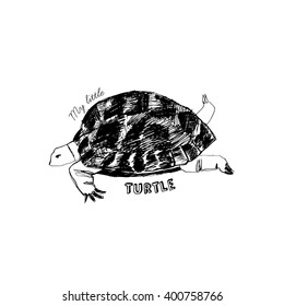 Hand-drawn turtle. Vector.