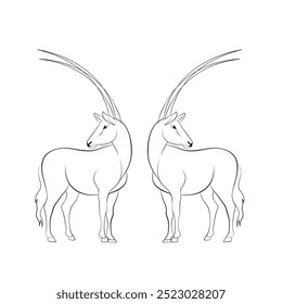 Hand-drawn two deer line art, vector illustration of deer, An outline drawing of wild animals