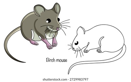 Hand-drawn two mice. A small rodent with a very long tail, a pointed snout, and long, sensitive whiskers. Colored animal-themed vector illustration on a white background.