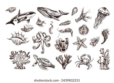 Hand-drawn undersea Animals, creatures set. Vector outline style illustration. Vintage sketch engraving illustration isolated on white background.