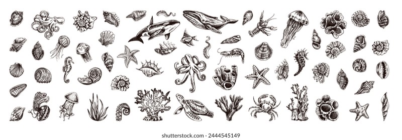 Hand-drawn undersea Animals, creatures set. Vector outline style illustration. Vintage sketch engraving illustration isolated on white background.	