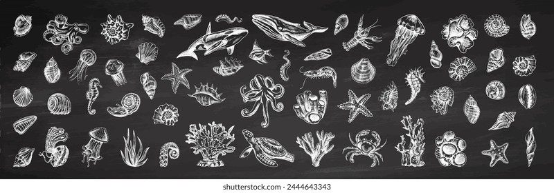 Hand-drawn undersea Animals, creatures set on chalkboard background. Vector outline style illustration. Vintage sketch engraving illustration isolated on white background.