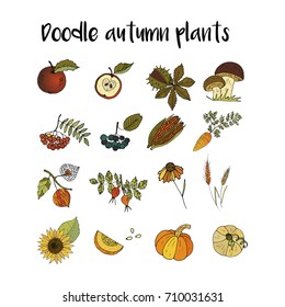 Handdrawn unique autumn icons. Vector doodle illustrations. Perfect for logotypes, autumn cards, apparel design. 
