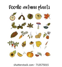 Handdrawn unique autumn icons. Vector doodle illustrations. Perfect for logotypes, autumn cards, apparel design. 
