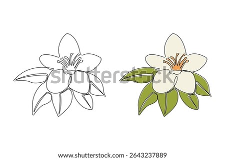 Hand-drawn vanilla pod flower continuous outline vector. Vanilla flower plant line art drawing