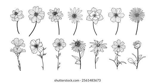 Hand-drawn various flowers set. Calendula, chamomile, hibiscus, flax, echinacea, arnica, rose.