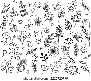 hand-drawn various herbs flowers and twigs in the doodle style
