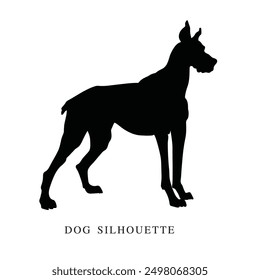 Hand-drawn vector animal, A silhouette of tall dog, An illustration for creating logo