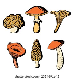 Hand-drawn vector art of six mushrooms, exuding a rustic and whimsical allure.