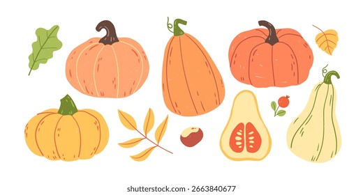 Calabazas y calabazas de otoño de Vector dibujadas a mano, lápices de colores y lápices para niños. Conjunto de calabazas lindas para Halloween, Acción de Gracias y cosecha