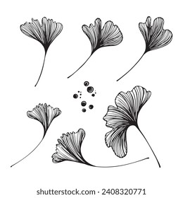 Hand-drawn vector background of ginkgo biloba. Flowers for design.