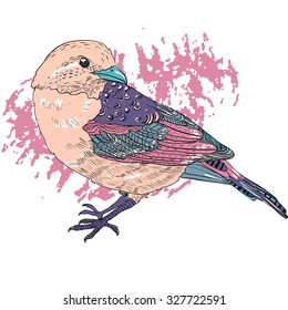 Hand-drawn vector bird illustration. Abstract background