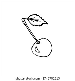 Hand-drawn vector black and white drawing of a cherry with a leaf on a white background