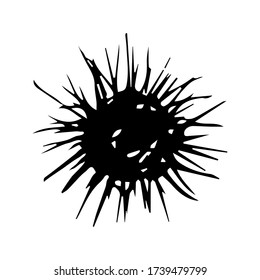 Hand-drawn vector black and white sketch. Silhouette sea urchin, star, underwater world, delicacy.
