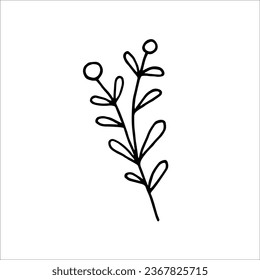 Hand-drawn vector branch for festive New Year and wedding card and packaging designs. Doodle vector illustration for winter greeting cards, posters, stickers, and seasonal design.