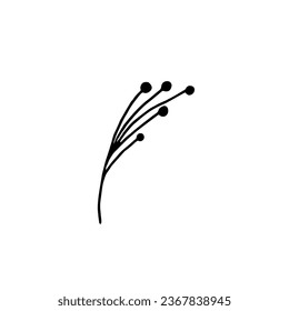 Hand-drawn vector branch for festive New Year and wedding card and packaging designs. Doodle vector illustration for winter greeting cards, posters, stickers, and seasonal design.