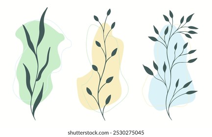 Hand-drawn vector branches with leaves in a minimalist line art style. Decorative botanical elements for nature-themed projects, package designs, or botanical art