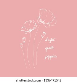 Hand-drawn vector bright delicate poppies on a pink background.