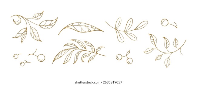 Hand-drawn vector collection of elegant autumn leaves and berries in linear style. Perfect for seasonal designs, greeting cards, packaging, and rustic branding projects.
