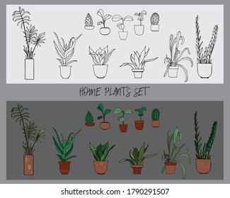 Hand-drawn vector collection of house plants, isolated illustrations. Palm tree, succulents, sansevieria, aloe and other plants in pots. Line art and colored variants. 