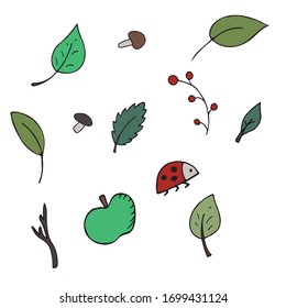 hand-drawn vector color illustration, element without background, leaves, twigs, mushrooms