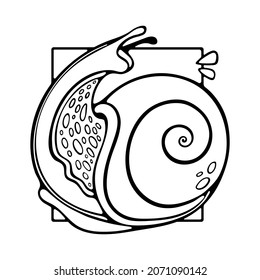 Hand-drawn Vector of Common grape Snail. Stylized Outline Slug with radial shell. Vector illustration isolated on white background. Perfect for design label, logo, cosmetic cream.
