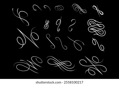 Hand-drawn vector curls, calligraphy and graphics, 2D lines