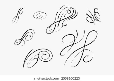 Hand-drawn vector curls, calligraphy and graphics, 2D lines