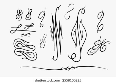 Hand-drawn vector curls, calligraphy and graphics, 2D lines