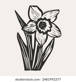 Hand-drawn vector daffodil flower clipart in scandi folk art style in block print style. Simple monochrome linocut illustration.