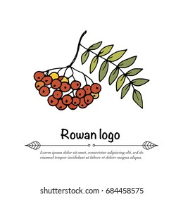 Handdrawn vector doodle logo. Autumn illustration with red rowan.