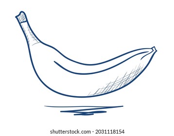 Hand-drawn vector drawing of a Banana