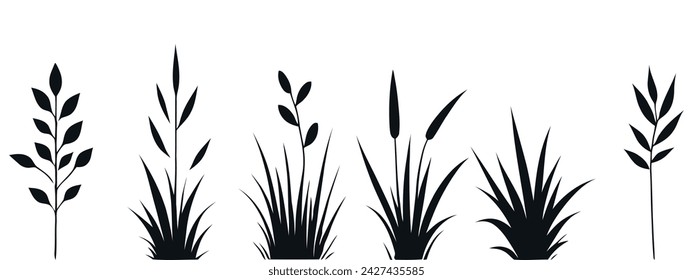 Hand-drawn vector drawing in black outline. A set of wild field grasses, meadow flowers, inflorescences, spikelets, stems, grass.