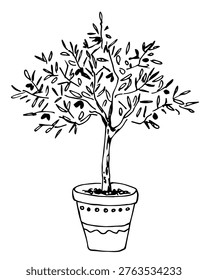 Hand-drawn vector drawing with a black outline. Olive tree in a clay ceramic pot. Plants and nature. Mediterranean interior decor. Sketch in ink.