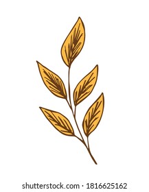 Hand-drawn vector drawing. Branch with autumn leaves isolated on white background. For seasonal design, element of nature, falling leaves.