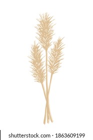 Hand-drawn vector drawing in calm pastel colors. Bunch of wild steppe pampas grass, cortaderia plant. Bouquet of flowers, twigs of a panicle for boho decor, decoration.