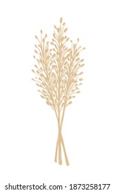 Hand-drawn vector drawing in calm pastel colors. Bunch of wild steppe pampas grass, cortaderia plant. Bouquet of dried flowers, twigs of a panicle for boho decor, decoration.