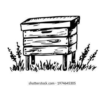 Hand-drawn vector drawing in engraving style. Beehive is isolated on a white background, wildflowers and herbs. Beekeeping, apiary. Honey production, for label prints.