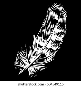 Hand-drawn vector feather, ink handpicked