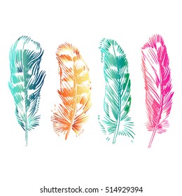 Hand-drawn vector feather, ink handpicked