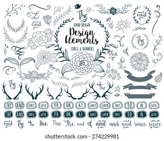 Hand-drawn vector floral design elements in rustic style.