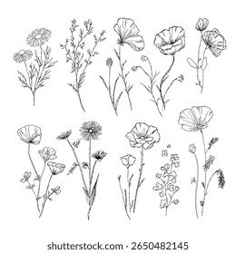 Hand-Drawn Vector Flower Illustration in Black Line Art Style