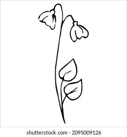 A hand-drawn vector flower. Isolated on a white background drawing for prints, posters, mudboard, stationery, aesthetics of Provence. High quality doodle illustration
