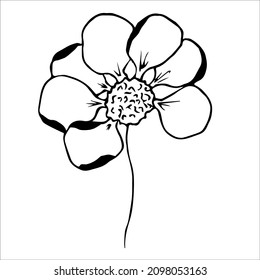 A hand-drawn vector flower. Isolated on a white background drawing for prints, posters, moodboard, stationery, aesthetics of Provence. High quality doodle illustration