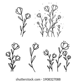 Handgezeichnete Vektor Blumen Äste und Blätter. Botanische Skizzensammlung. 