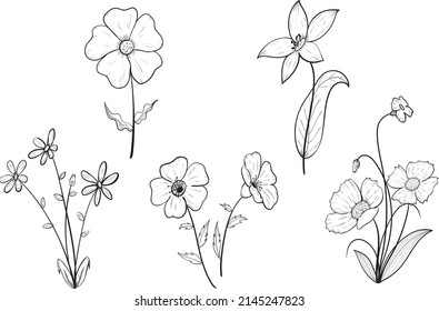 flores vectoriales dibujadas a mano, clipart de flores