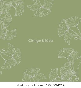 Hand-drawn vector frame from ginkgo biloba branches