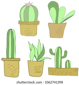 Hand-drawn vector gentle cactus in flowerpots