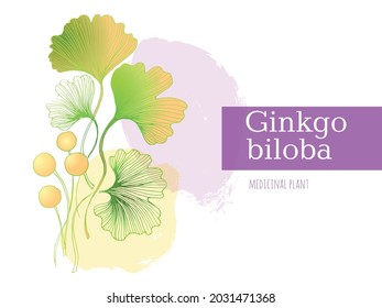 Hand-drawn vector ginkgo biloba branch. Component of alternative medicine, beauty, cosmetics and herbal medicine.